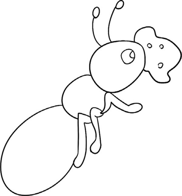 简单可爱的蚂蚁怎么画