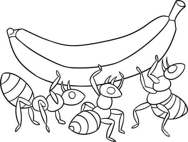 蚂蚁合作搬食物简笔画图片