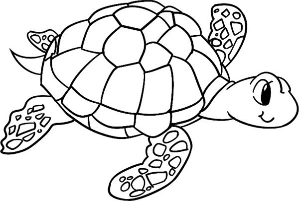 海龟怎么画漂亮又简单