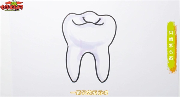 一颗牙齿怎么画简单又漂亮