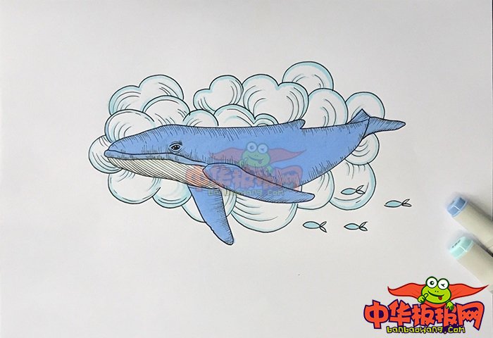 简单好看的鲸鱼简笔画画法