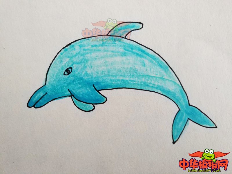 海豚简笔画图片带颜色画法