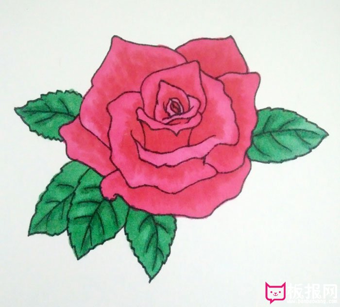 盛开玫瑰花的画法20步图解
