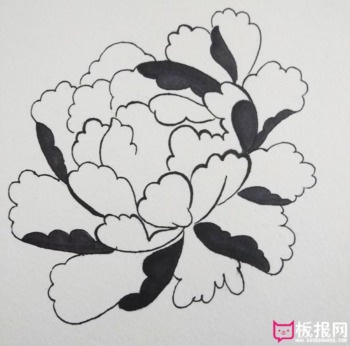 画一个最简单的牡丹花