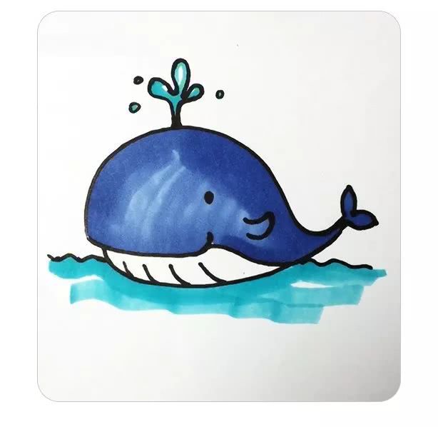喷水泉小鲸鱼彩色简笔画