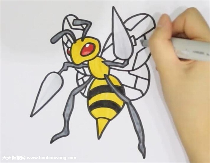 大针蜂简笔画怎么画