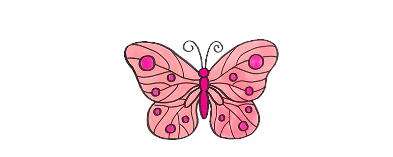 蝴蝶的花纹怎么画儿童画