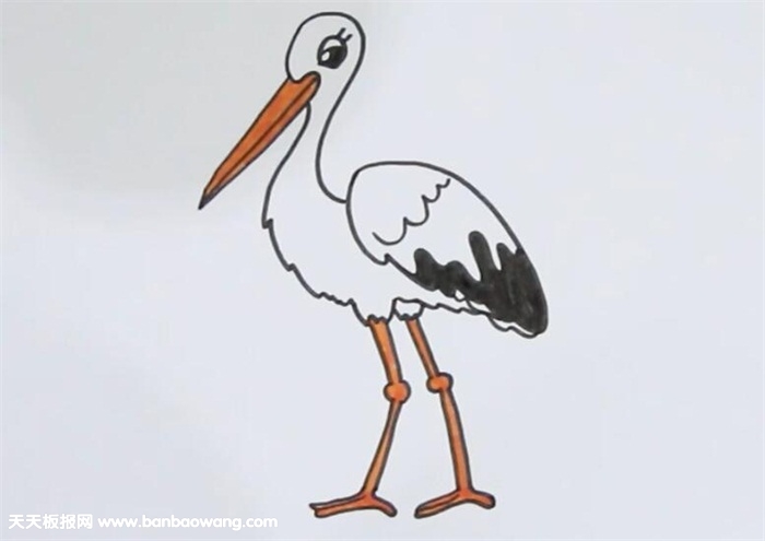 白鹤的简易画法