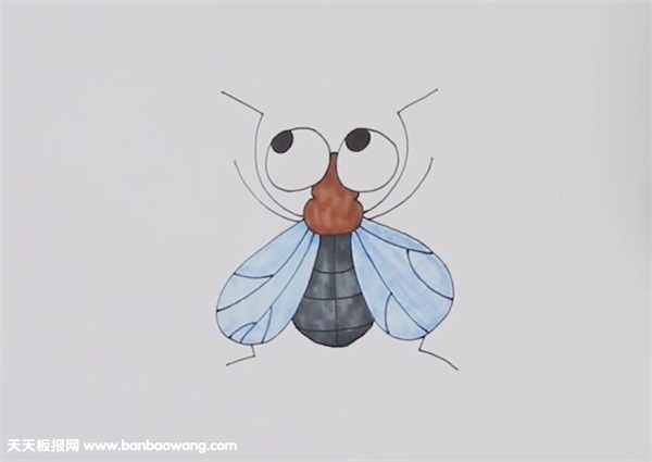简单可爱的小苍蝇怎么画