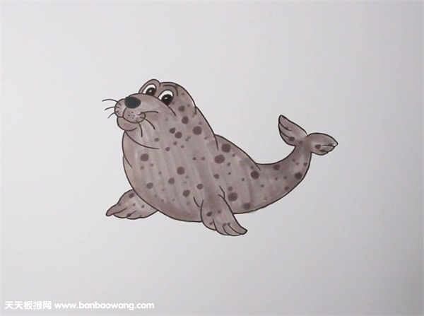 小海豹怎么画可爱