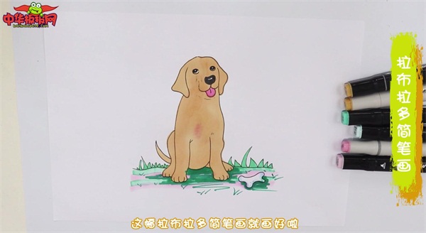 拉布拉多犬的简笔画怎么画