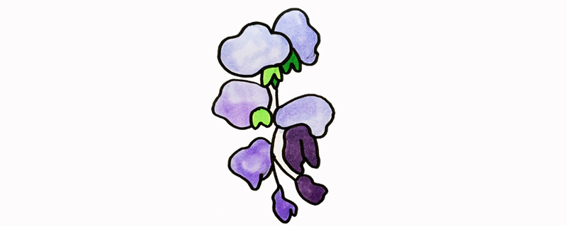 紫藤花怎么画又简单又漂亮