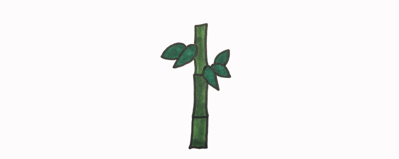 竹子怎么画简单而好看