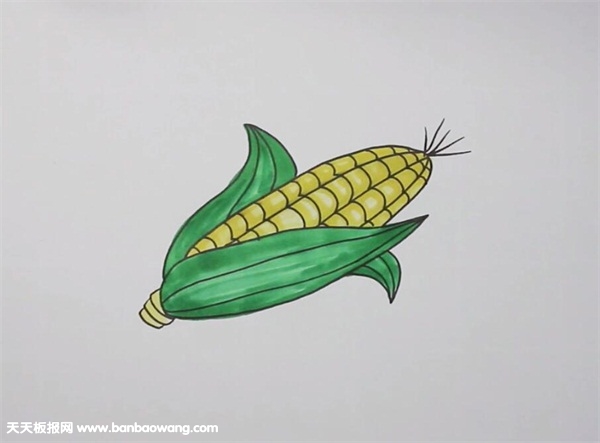 一棵玉米怎么画简笔画