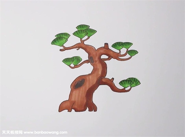 漂亮的松树简笔画图片带颜色