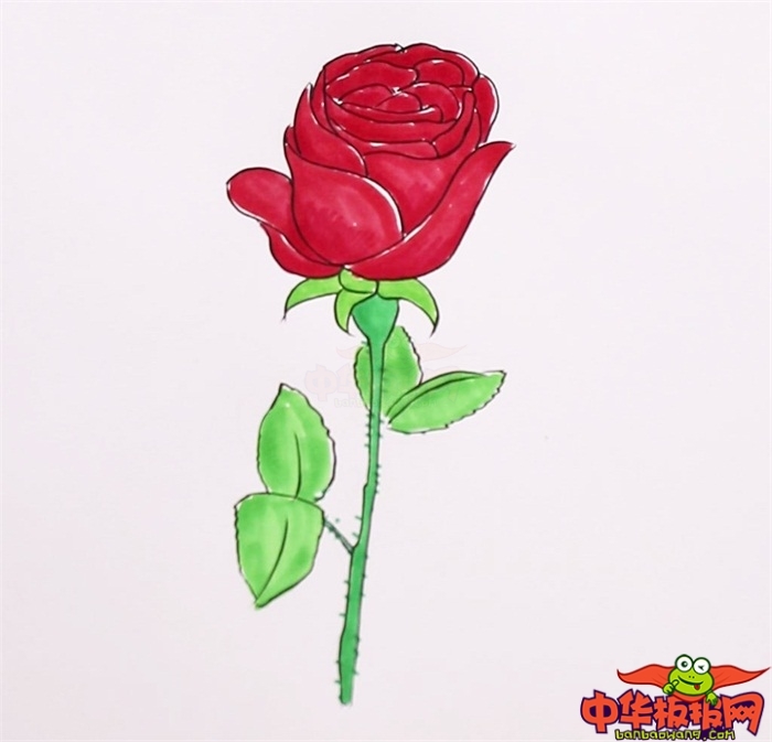 玫瑰花的画法20步图片