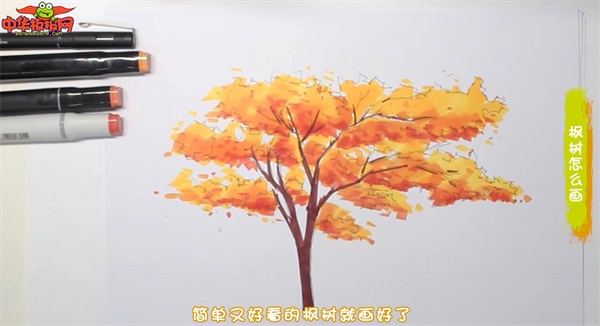 枫树怎么画简笔画漂亮