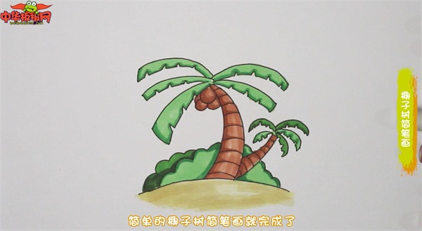 椰子树怎么画简笔画带色彩