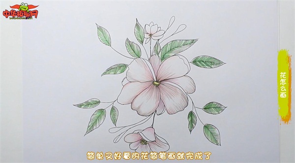 花怎么画简笔画又漂亮最难的