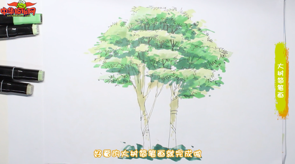 茂盛大树简笔画怎么画