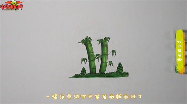 竹子简笔画手绘彩色
