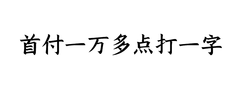 首付一万多点打一字谜底