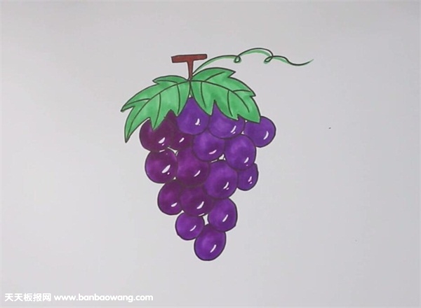 葡萄怎么画 一步一步