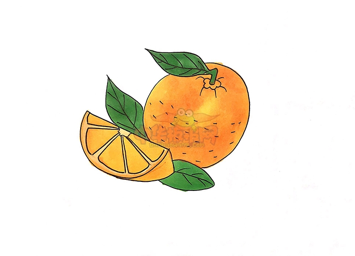大橙子怎么画简笔画一步一步画