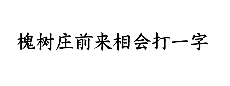 槐树庄前来相会打一字迷