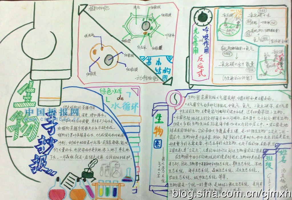 生物手抄报内容文字简短