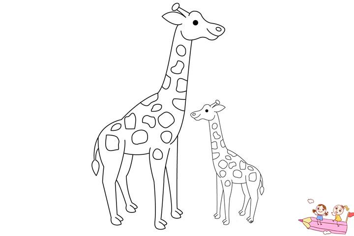 长颈鹿最简单的画法