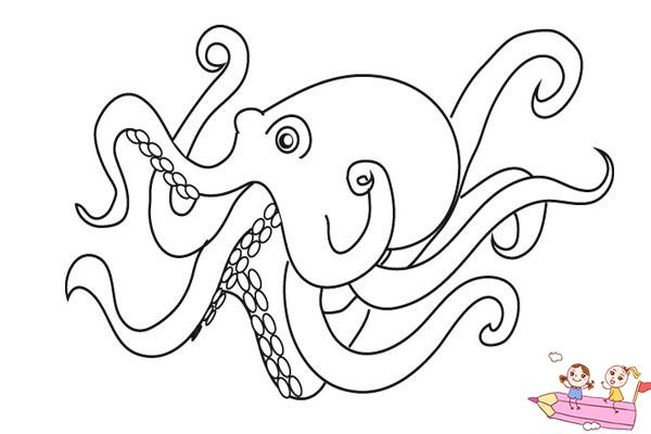 最简单的章鱼简笔画