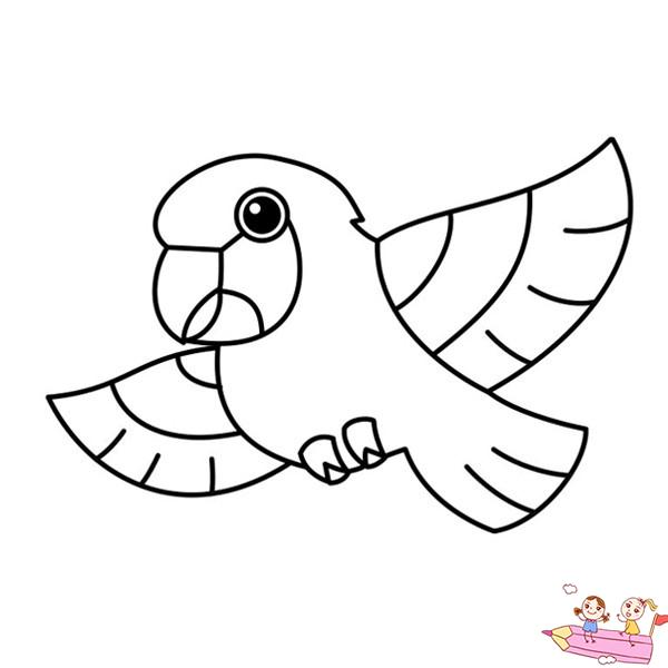 最简单的鹦鹉儿童简笔画