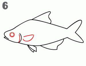 画一只简单的鱼