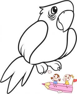 儿童画鹦鹉简单画法