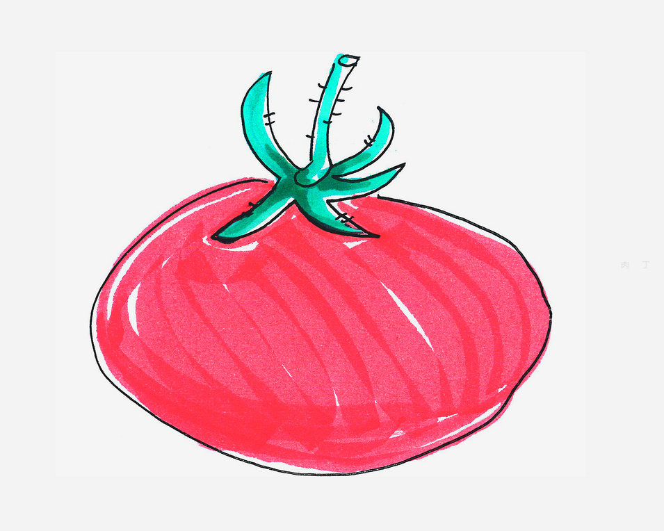 有颜色西红柿的儿童画法教程
