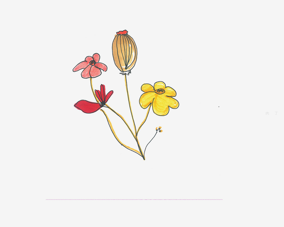 罂粟花怎么画简单又好看