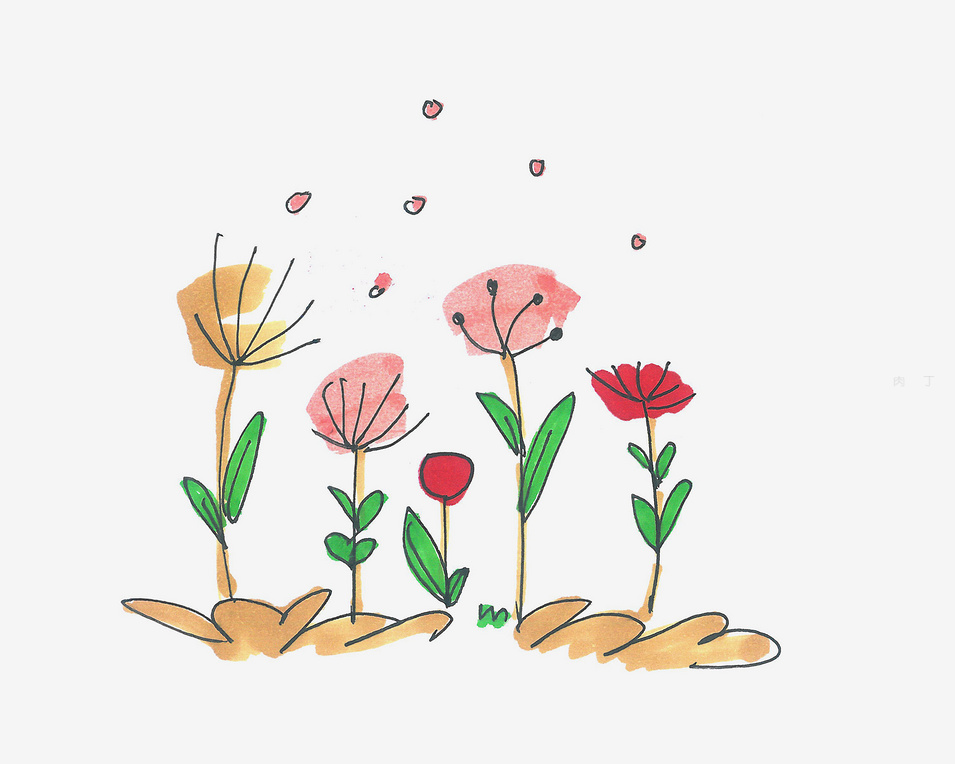 罂粟花的画法过程