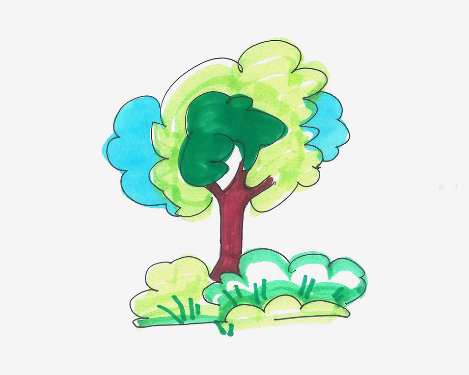 教你画一棵大树简单又好看