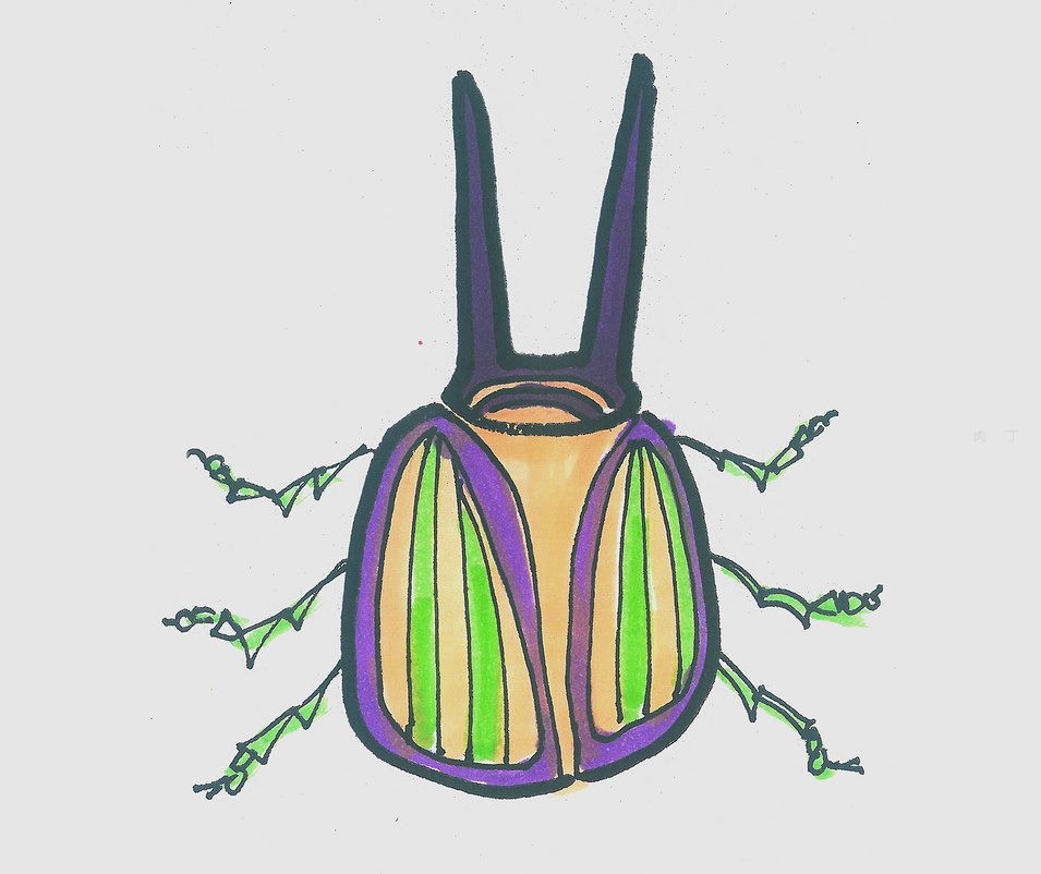 甲壳虫简笔画彩色