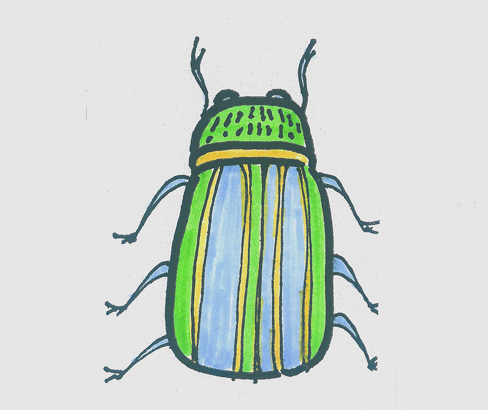 可爱甲虫怎么画简单又好看