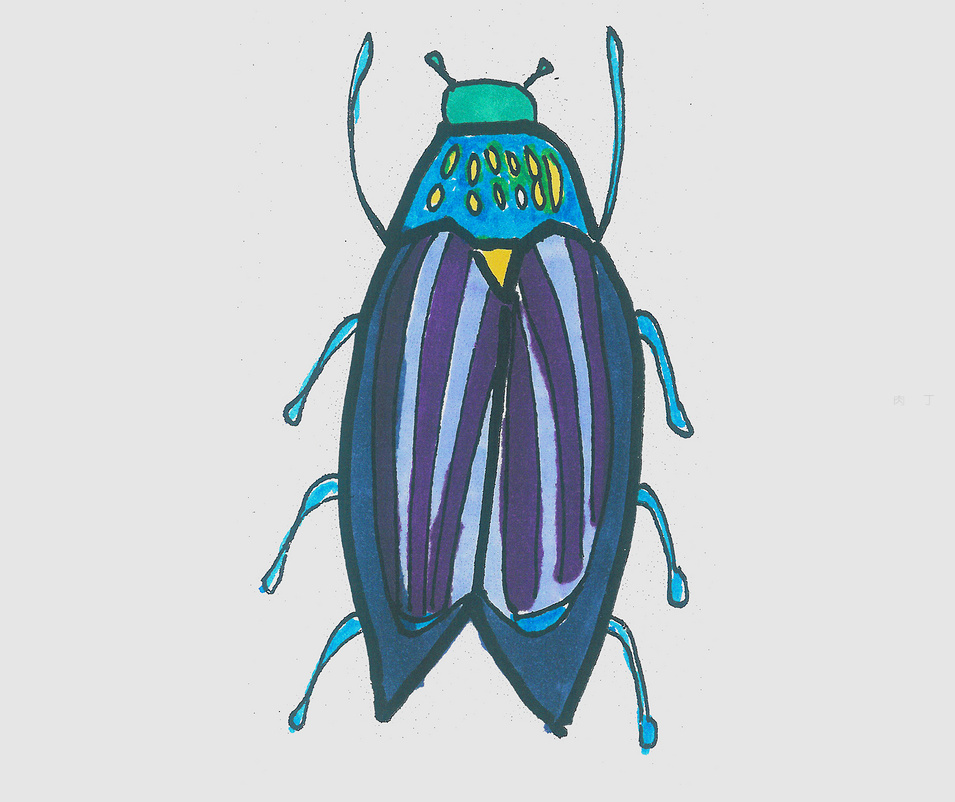 小甲虫简笔画彩色