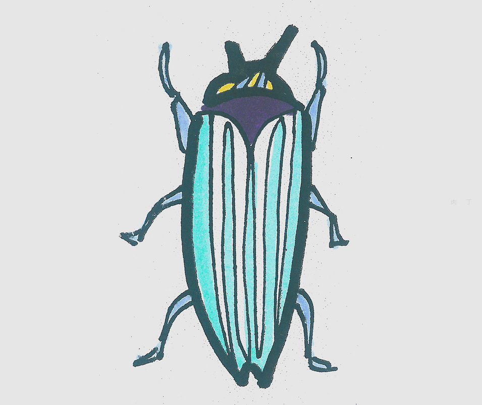 甲虫简笔画涂色