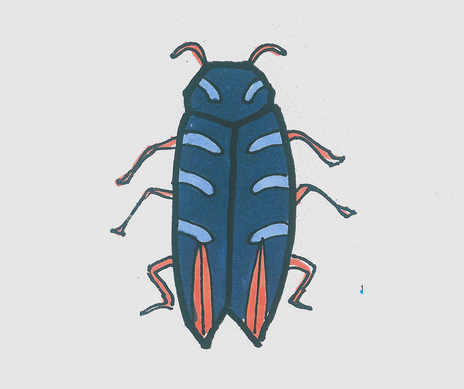 一步一步教可爱小甲虫的画法