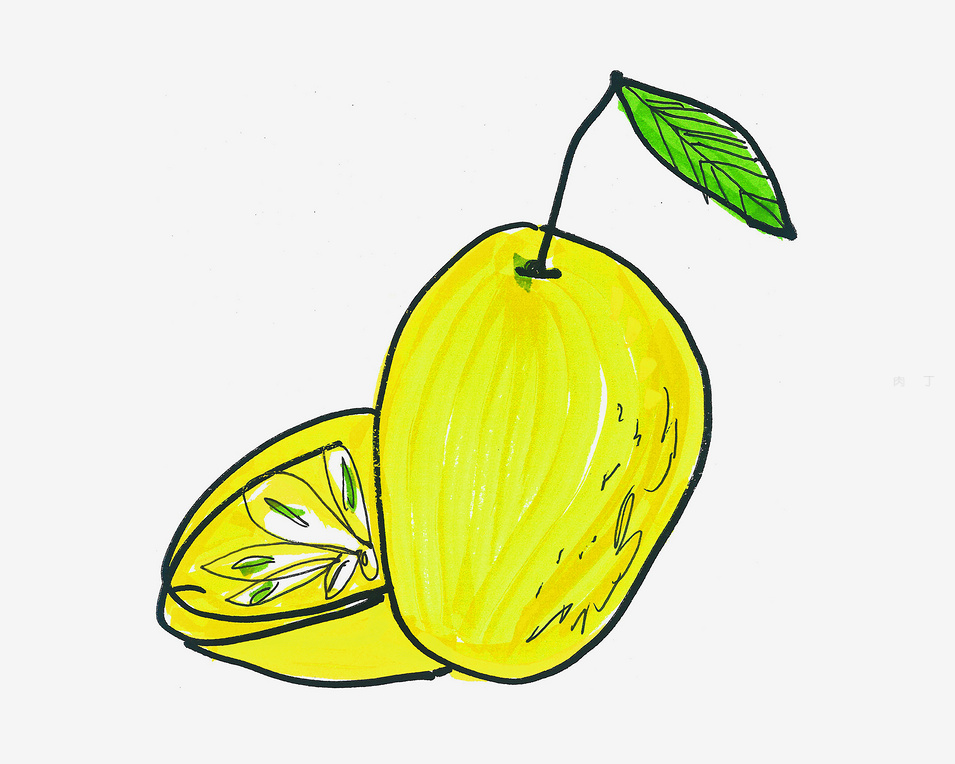 柠檬怎么绘画