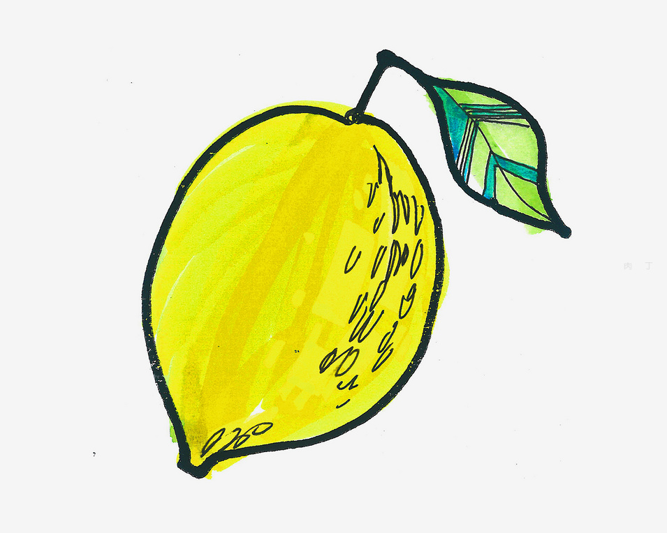 柠檬创意画