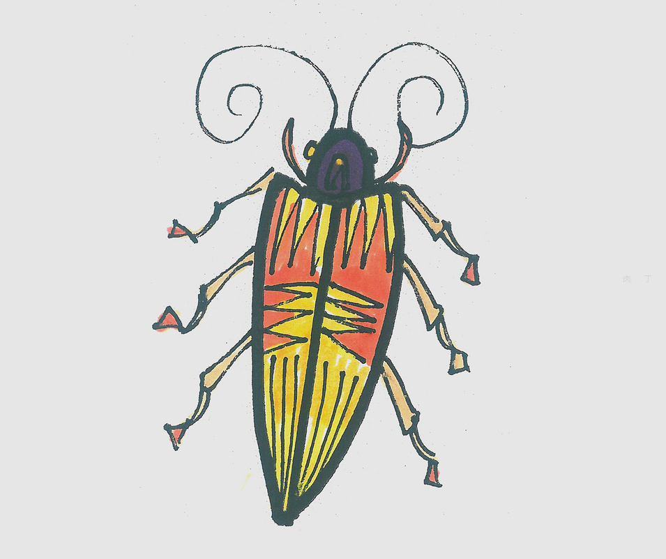 色彩甲虫怎么画最简单