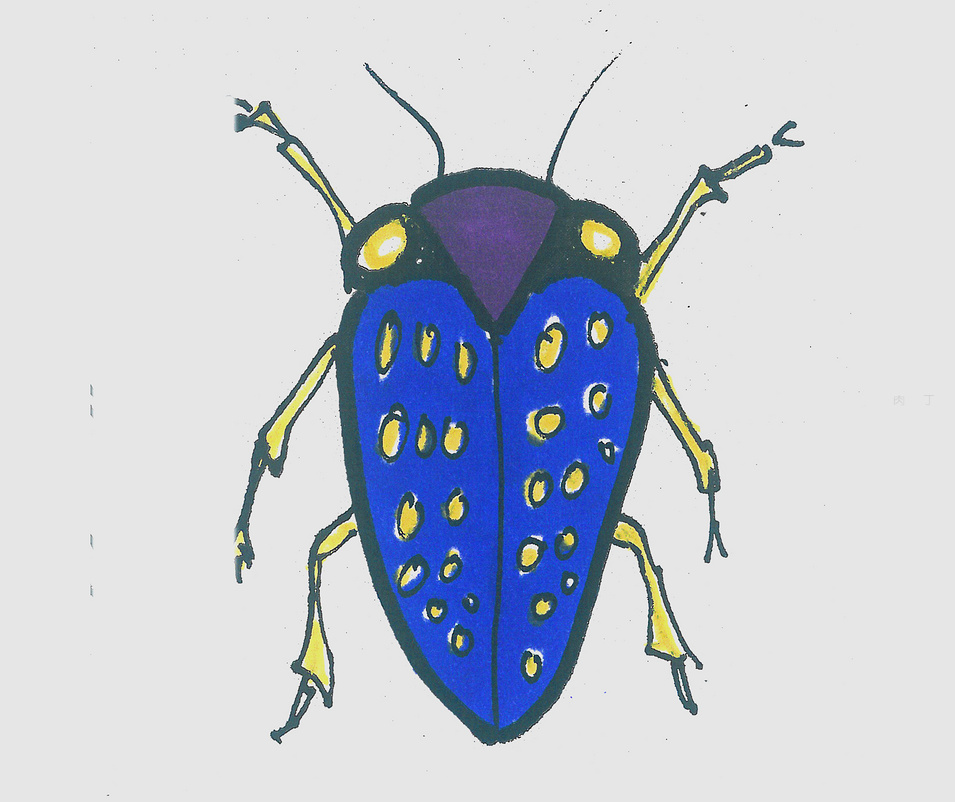 甲壳虫怎么画简单又可爱