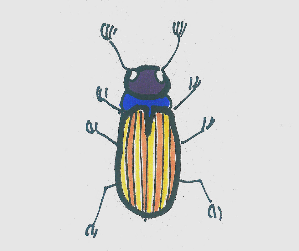 虫子画画甲虫