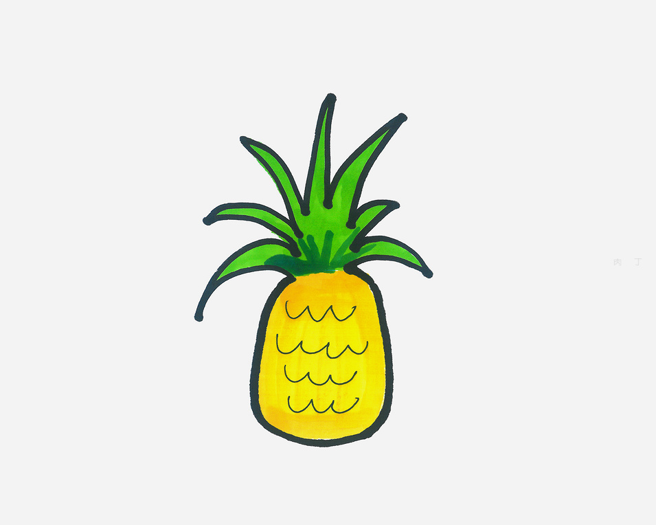 菠萝怎么画简笔画